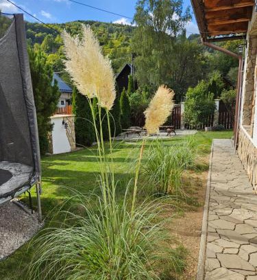 Myto pod Dumbierom House | Chata Provence