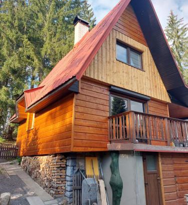 Prostredni Becva Ski Chalet | Chata u lesa