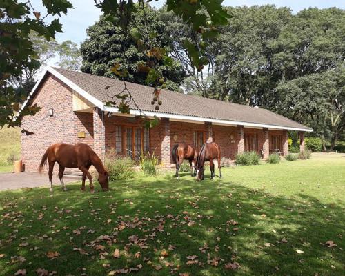 Assagay House | Chillifields Guesthouse