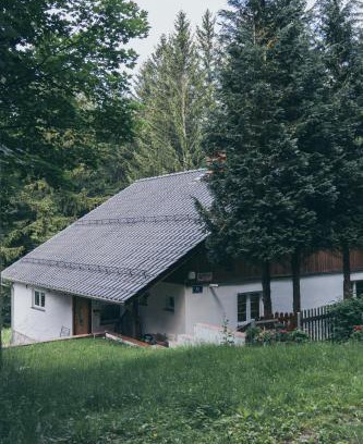 Karpacz Apartment | Chopina 43