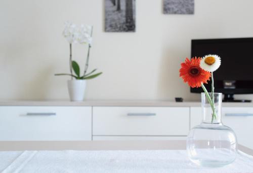 Rocca Imperiale Marina House | CIVICO33