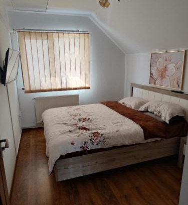 Barlad Apartment | Clarice