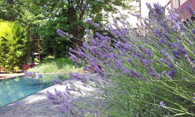 Udine Hotel | Clocchiatti