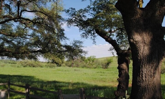 Sonoita House | Close to Wineries, Kartchner Carverns, Patagonia, Cozy, Quiet, Scenic View