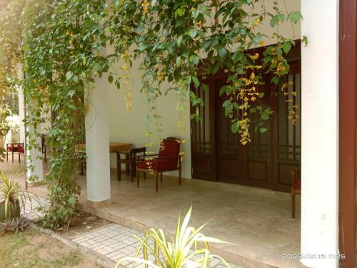 Tangalle House | Coco Heritance