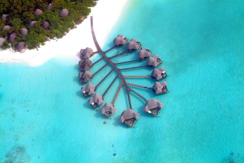 Dhunikolhu Resort | Coco Palm Dhuni Kolhu - 20 percent off roundtrip Seaplane for stays from 1 May to 30 September 2025