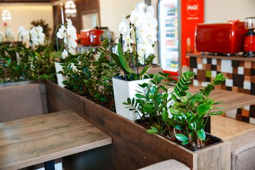 Chernovtsy Hostel | Coin Apartments & Poshtel