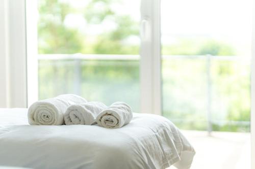 Willroth Apartment | Colakation