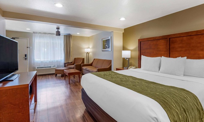 Bishop Hotel | Comfort Inn Bishop