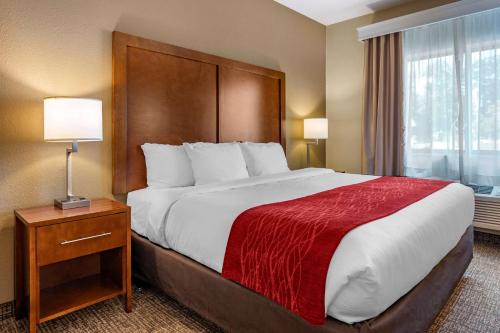 La Porte Hotel | Comfort Inn La Porte