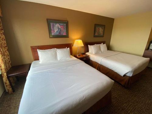 Morton Hotel | Comfort Inn & Suites Morton - Peoria