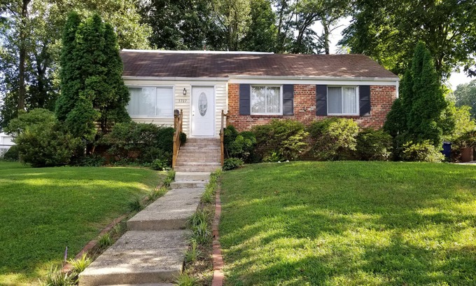 Annandale House | Comfortable and convenient!