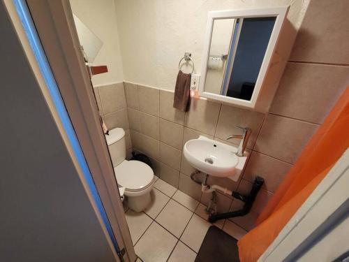 Bloomfield Apartment | Comfortable Apartment - Pittsburgh's Little Italy