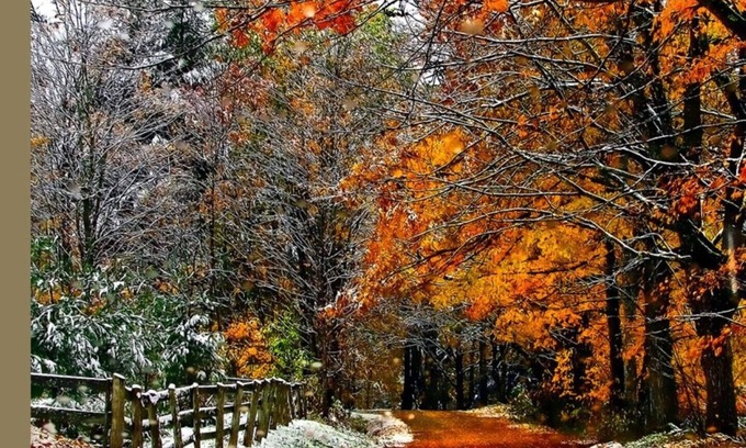 Sharon House | Contemporary Custom Built Home On A Country Lane Close To Sharon