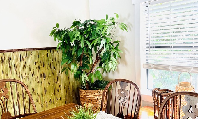 Bayou Oaks House | Cool cottage in a Private Oasis. Boat Parking. Nature and seclusion.