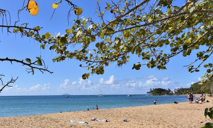Rincon Apartment | Coqui #3 at Rincon beach, kids and adult pool, beach gate, power and water bup