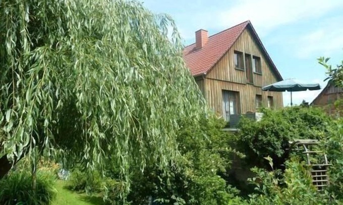 Trusetal Apartment | Cosy flat with terrace, barbecue and garden