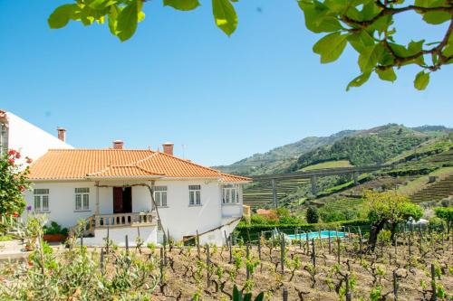 Lamego House | Cosy Historical House in Lamego - Quinta do Cabo