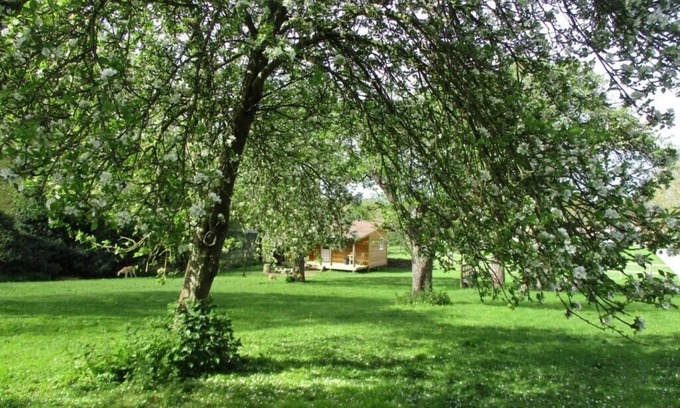 North Wheatley Cabin | Cosy Lodge completely on your own in an acre of land. and will take 2 dogs