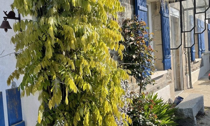 Plourhan House | Country by the sea!