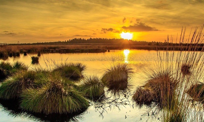 Rohren House | Cozy and detached vacation home/terrace/2000qm garden/Monschau/Eifel