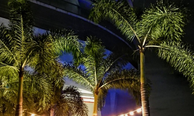 Punta Pacifica Apartment | Cozy Apartament in Trump Tower