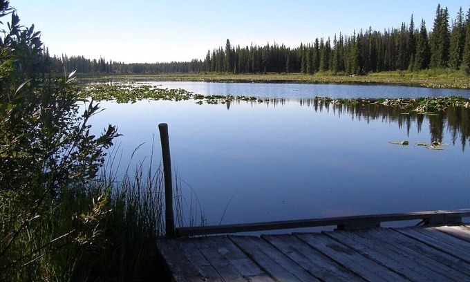 Nimpo Lake Cabin | Cozy Cabin In Nimpo Lake on Dean River