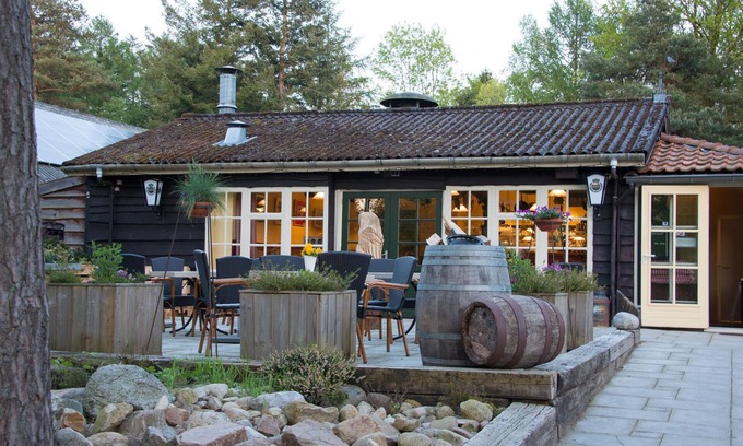 Municipality of Westerveld Ski Chalet | Cozy chalet with a decorative fireplace