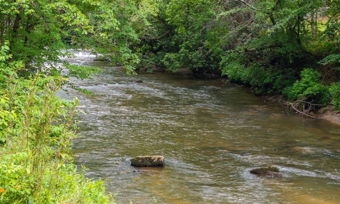 Epworth Cabin | Cozy creek side getaway minutes from Downtown Blue Ridge!