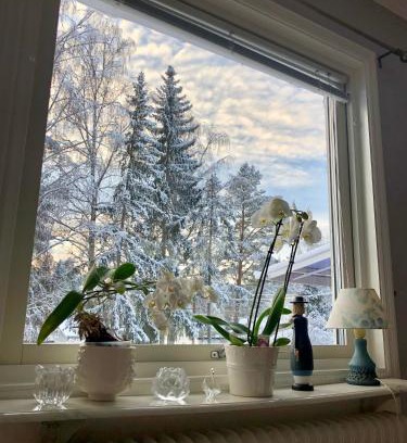 Falun House | Cozy room surrounded by nature