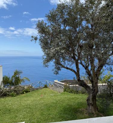 Paul do Mar House | Cozy Sea View House Fajã da Ovelha