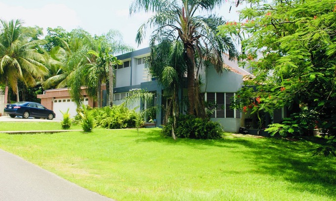 Mamey Apartment | Cozy Tropical Paradise with Serene Backyard