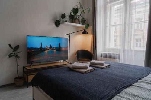 Karlin Apartment | Cozy warm studio in Prague city center