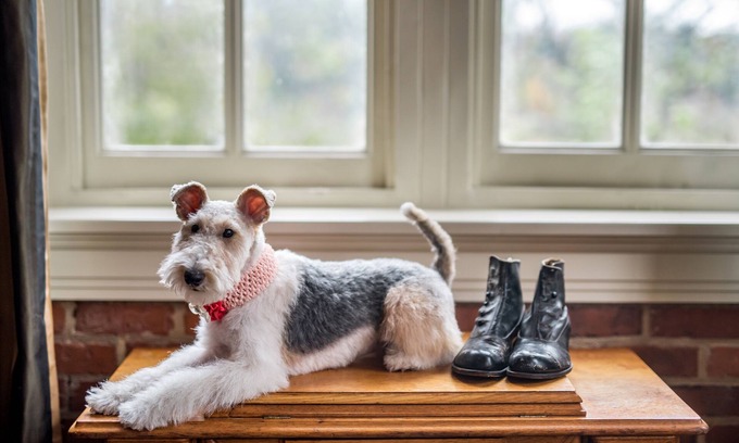 Central Business District Hotel | Craddock Terry Hotel, Lynchburg, a Tribute Portfolio Hotel