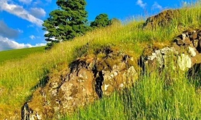 Cockermouth Cottage | Crag End Fern Cottage, sleeps 2 guests in 1 bedroom with walking over the Lorton Fells from the doo