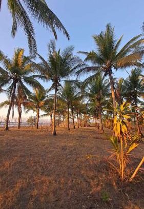 Sablayan Resort | Crossroads Beach House