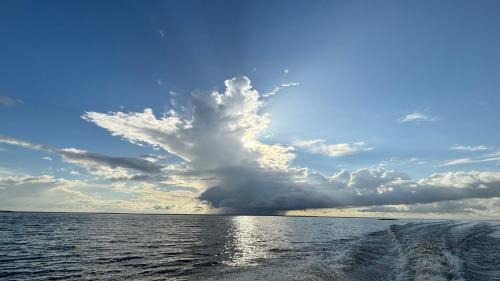 Iranduba Other | Curupira Cabin