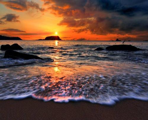 Las Gaviotas Apartment | D2 Golden Zone Oceanview apartment