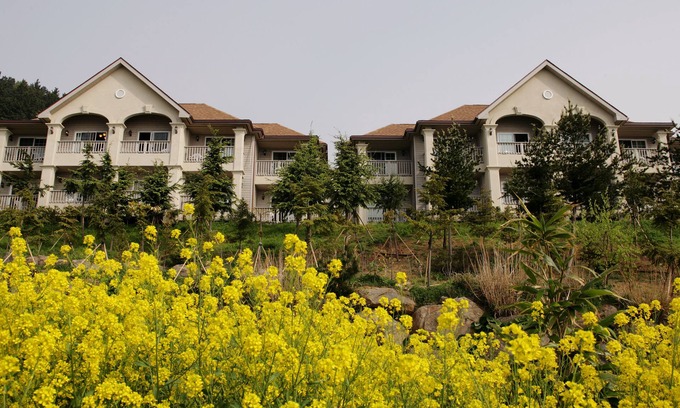 Ulleung-gun Hotel | Daea Ulleung Resort