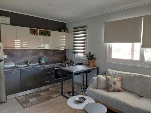 Nidri Apartment | Daglas Summer Loft