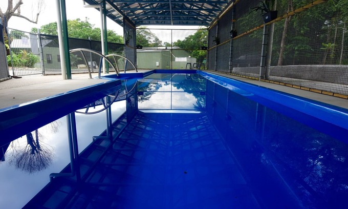 Diwan Hotel | Daintree Peaks ECO Stays