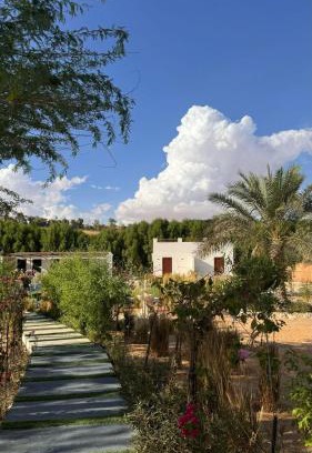 Liwa Resort | Damas Resort