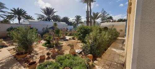 Playa Sidi Mehrez House | Dar Elbhar