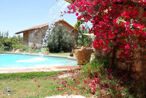 Zaghouan House | Dar Zaghouan
