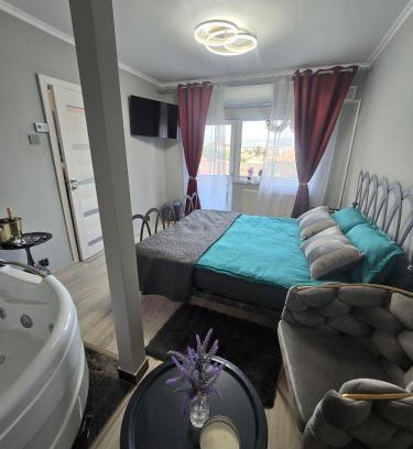Emanoil Gojdu Apartment | Darlar Loft