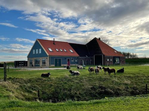 Ursem Villa | De Martha Hoeve