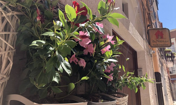 Barletta Bed & Breakfast | De Nittis Bed & Breakfast