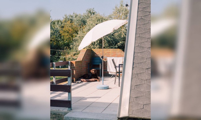 Markgrafenheide Apartment | Finnhütte 05 - Finnhütten Markgrafenheide