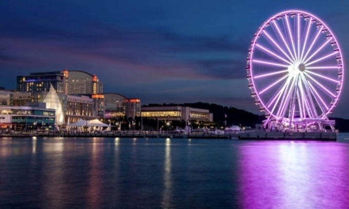 Waldorf House | Dee's Lounge, Your Relaxation Oasis