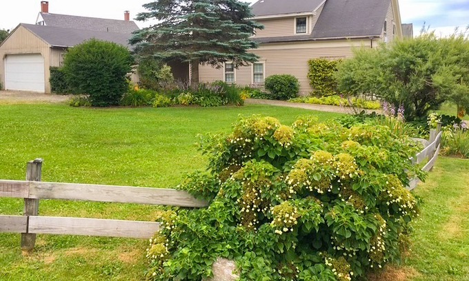 Searsport House | Delightful Seaside Retreat with Ocean Views, Wifi, and Private Washer & Dryer